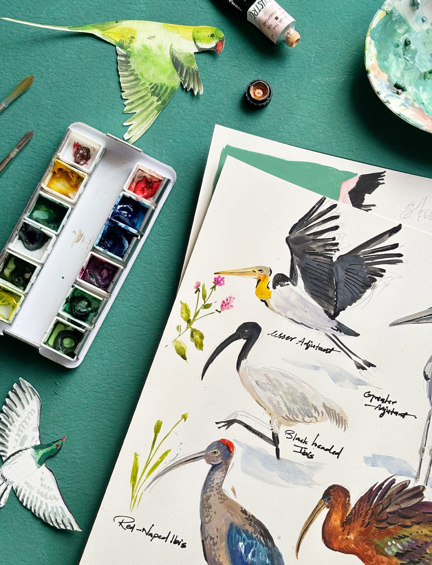 2026 Desk Calendar- Birds of India