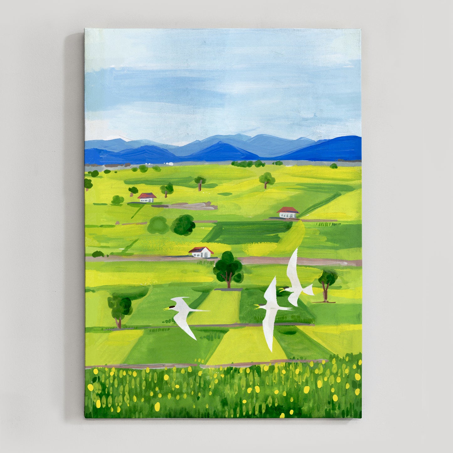 Rice Fields