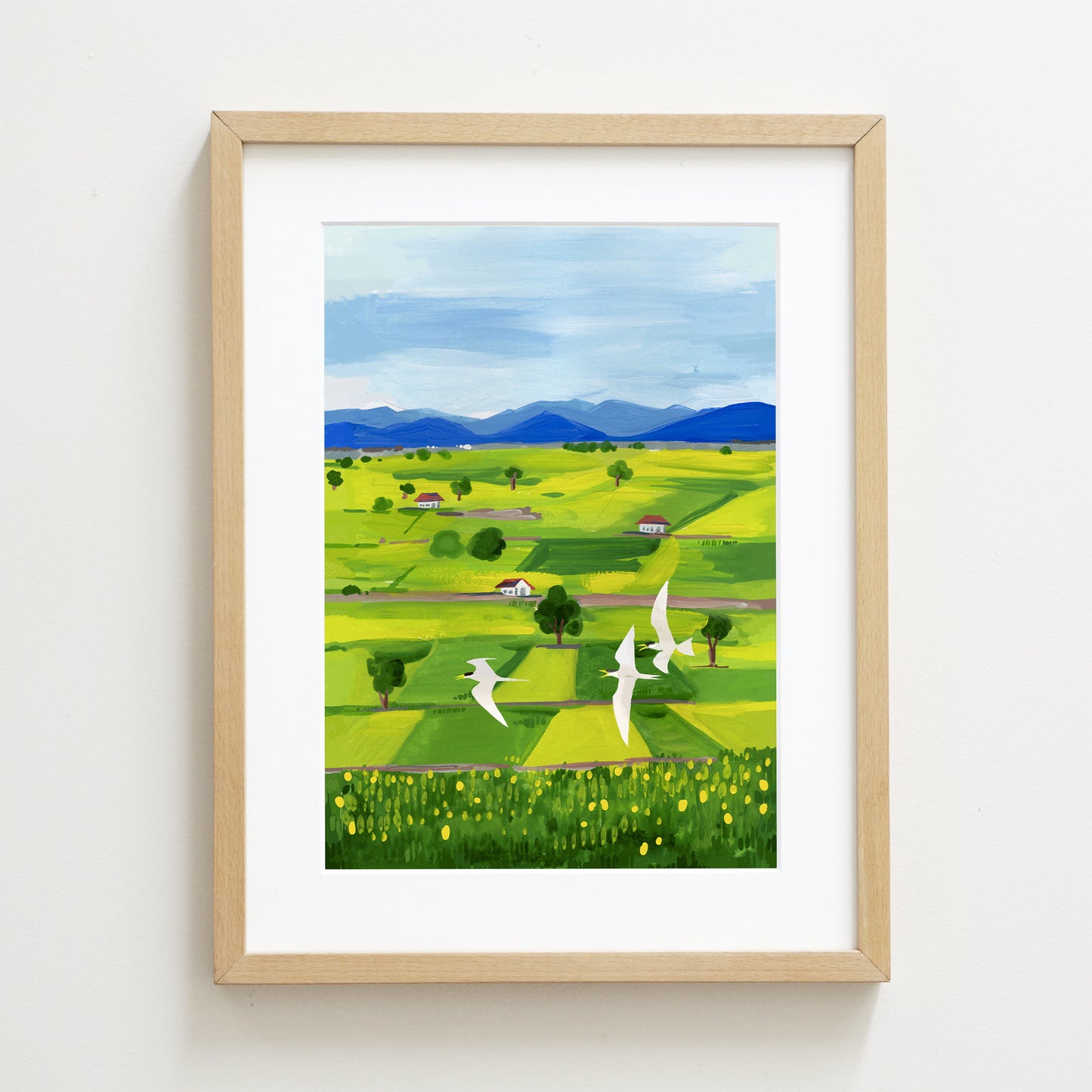 Rice Fields