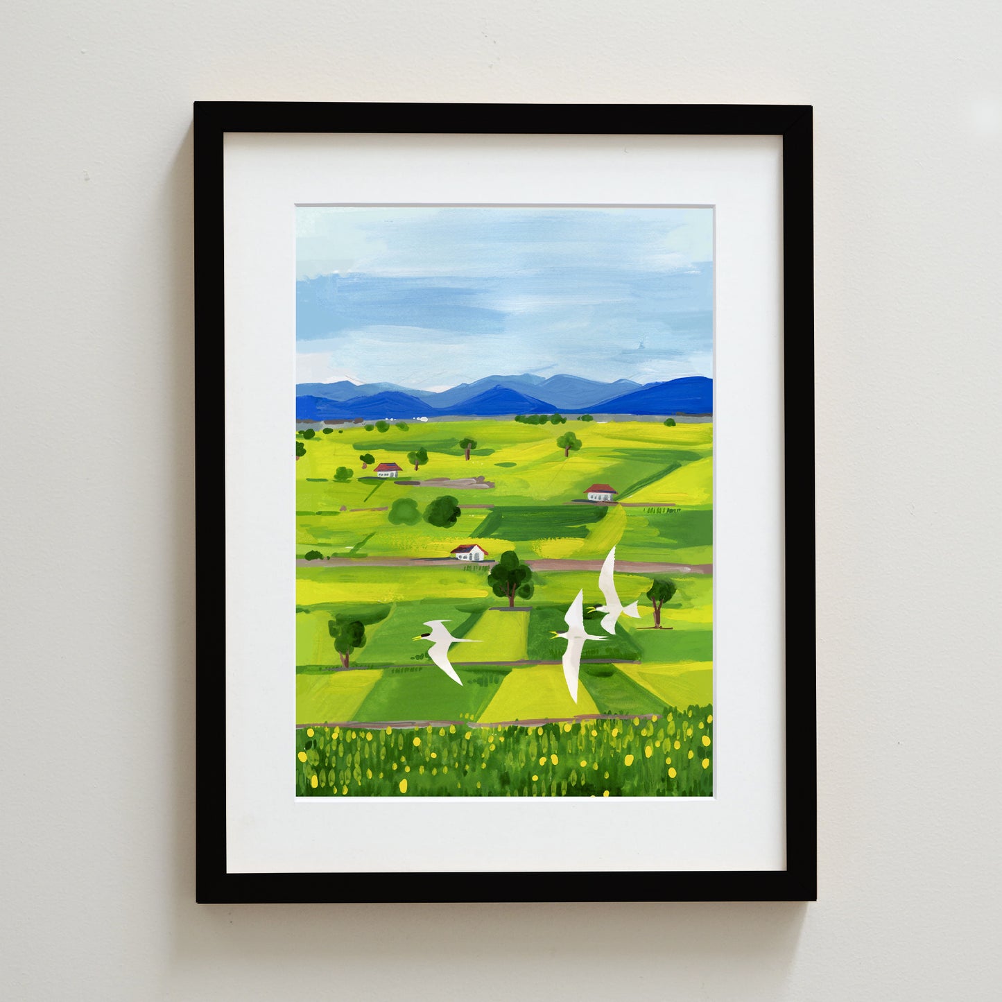 Rice Fields