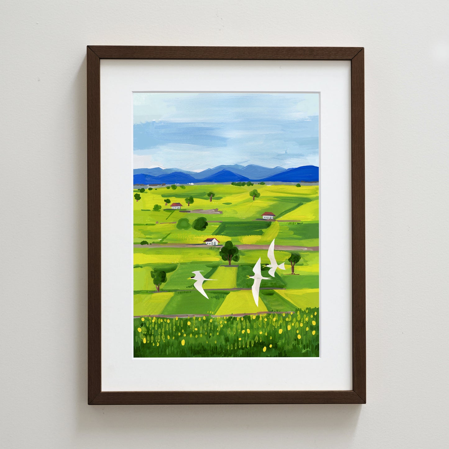 Rice Fields