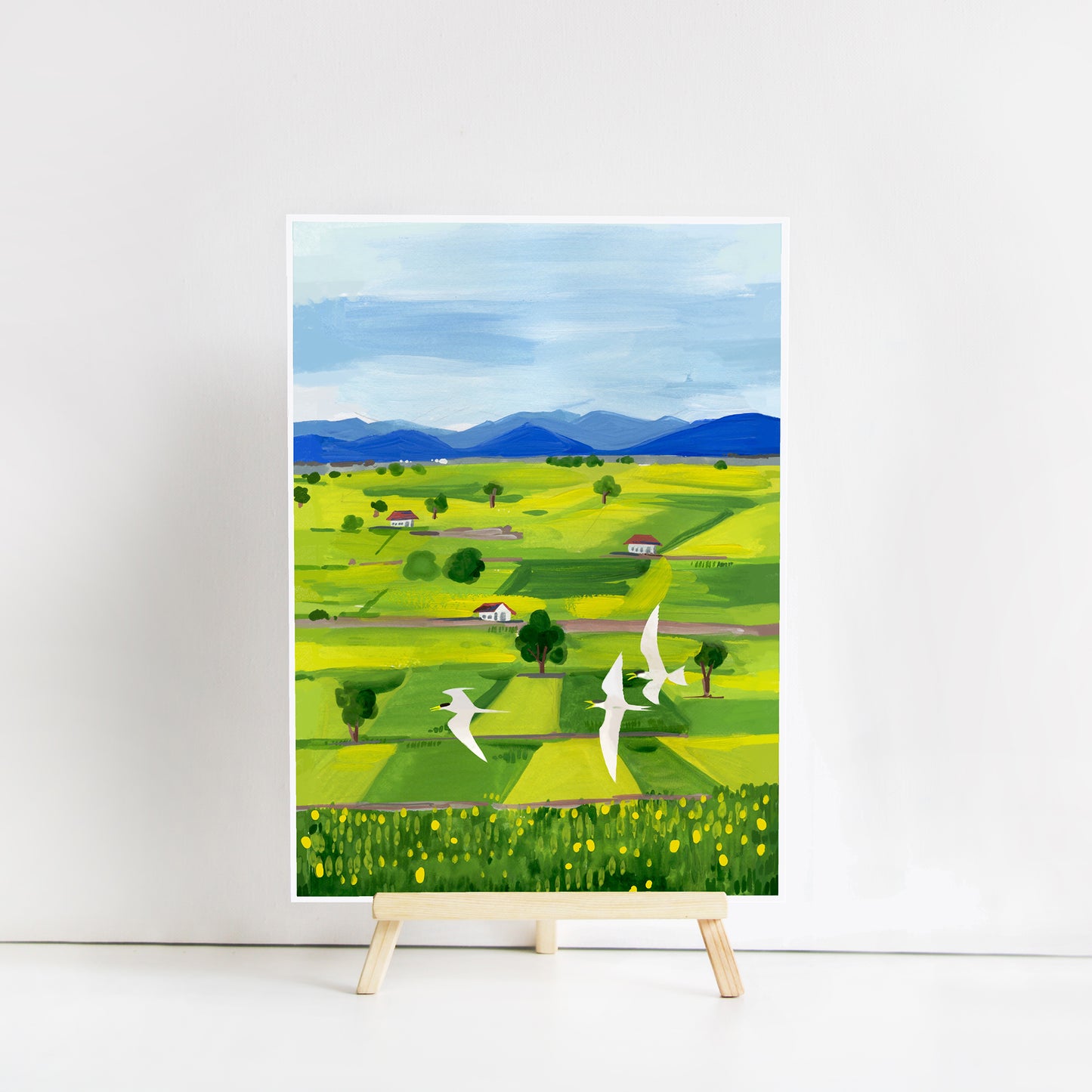 Rice Fields
