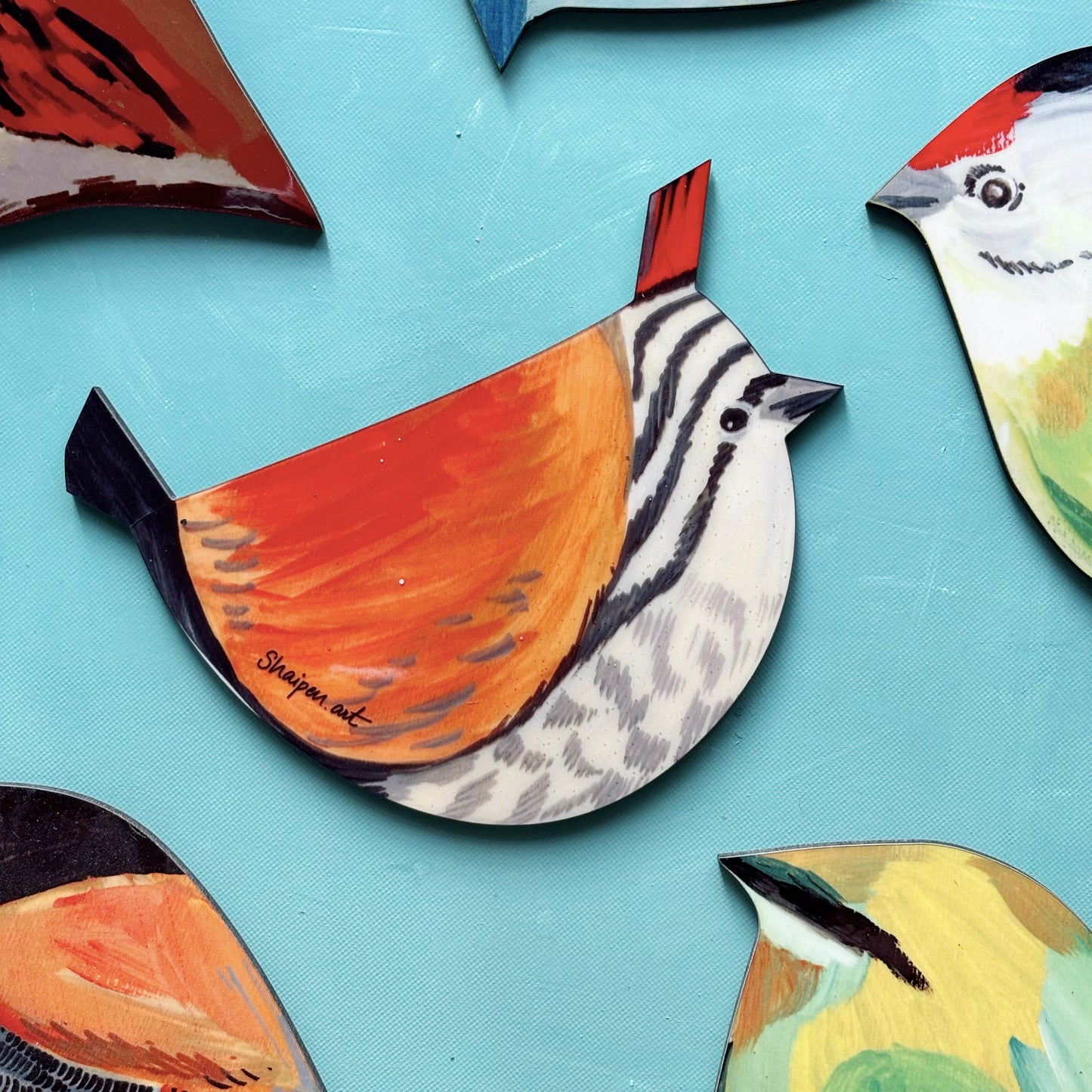 Woodpecker Bird coaster