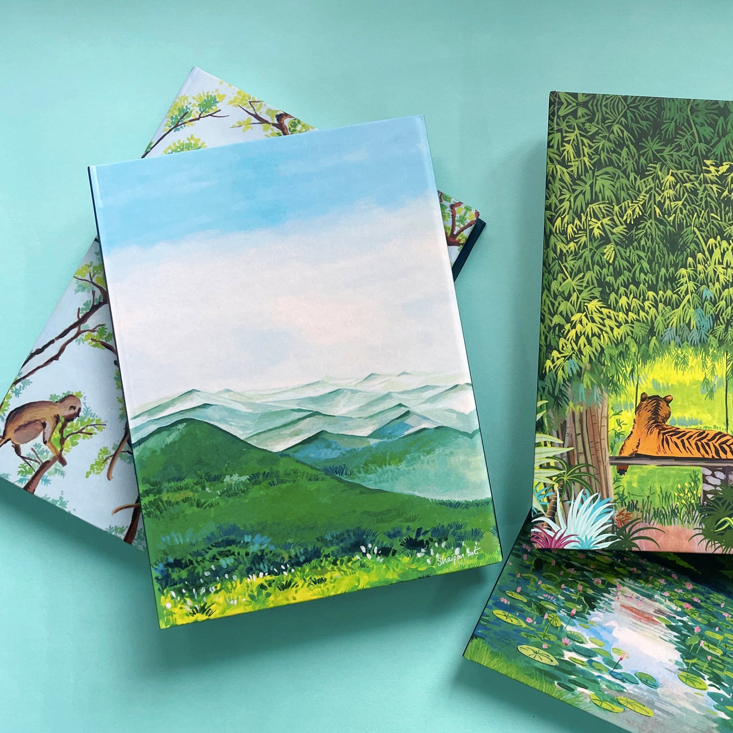 Notebook- Mountain View